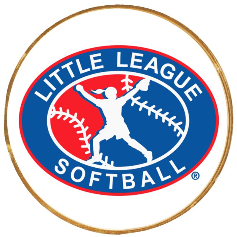 2"Wx2"H INSERT BUTTON PIN