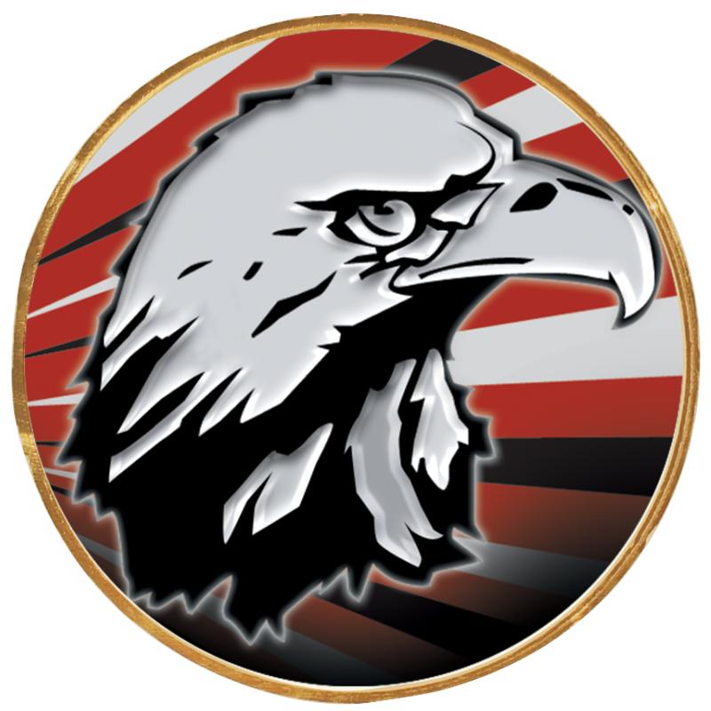 2"Wx2"H INSERT BUTTON PIN