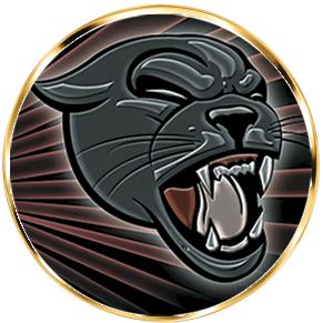 2"Wx2"H INSERT BUTTON PIN
