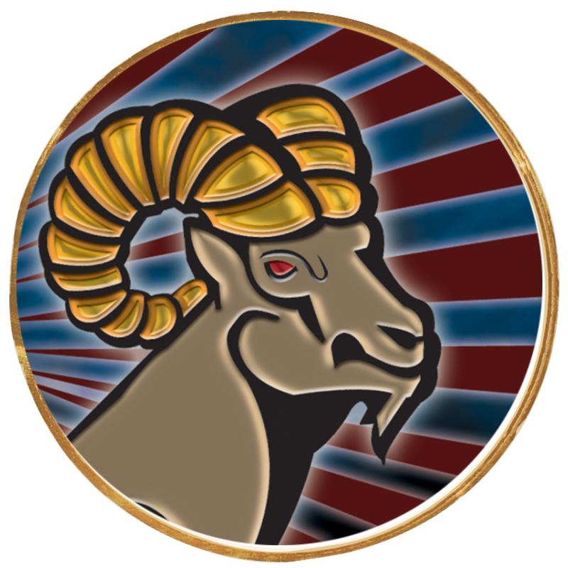 2"Wx2"H INSERT BUTTON PIN