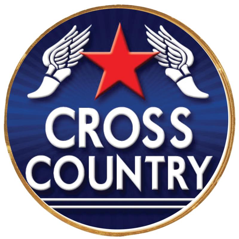 2"Wx2"H INSERT BUTTON PIN