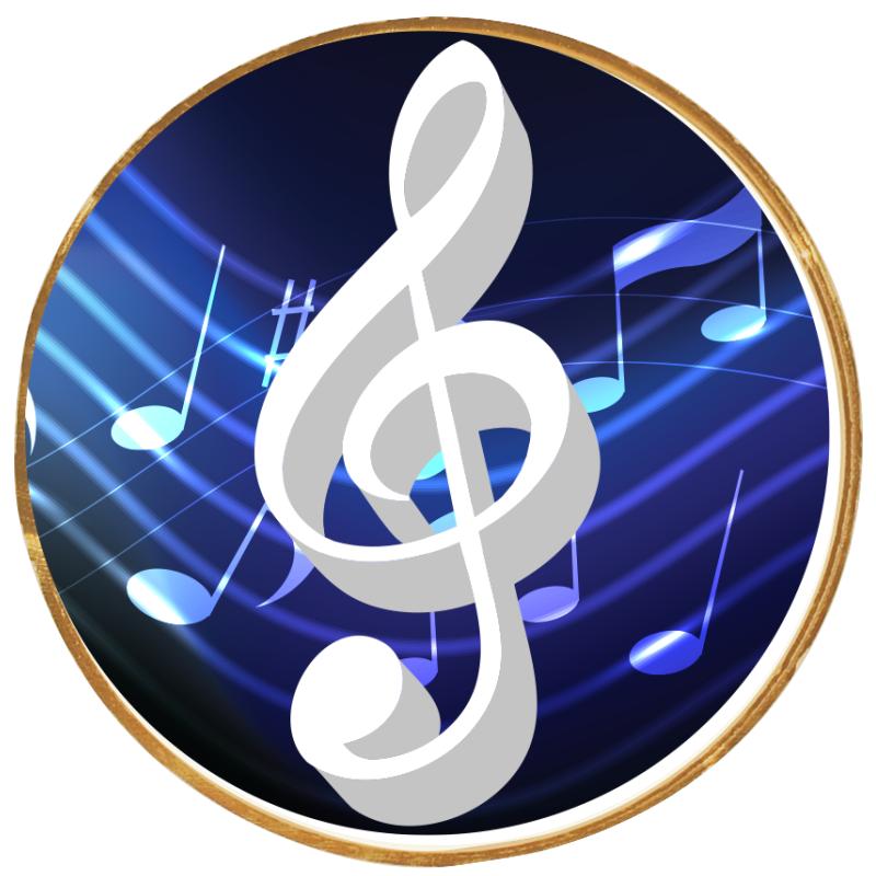 2"Wx2"H INSERT BUTTON PIN