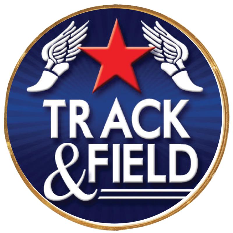 2"Wx2"H INSERT BUTTON PIN