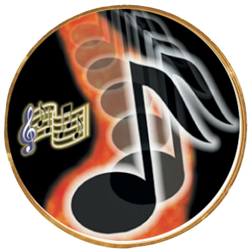 2"Wx2"H INSERT BUTTON PIN