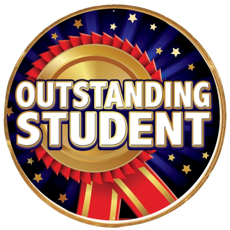 2"Wx2"H INSERT BUTTON PIN