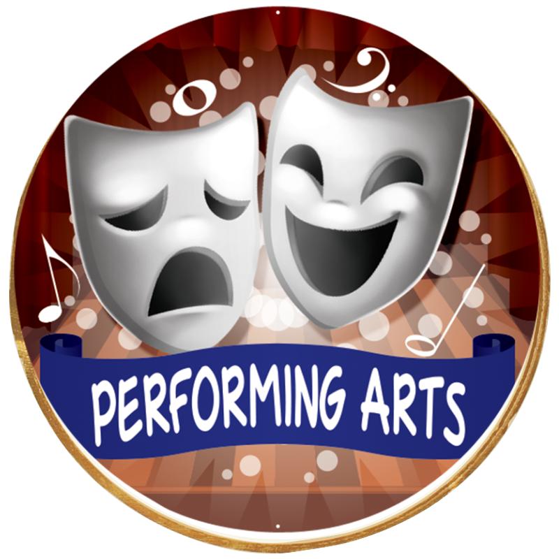 2"Wx2"H INSERT BUTTON PIN