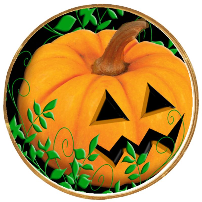 2"Wx2"H INSERT BUTTON PIN