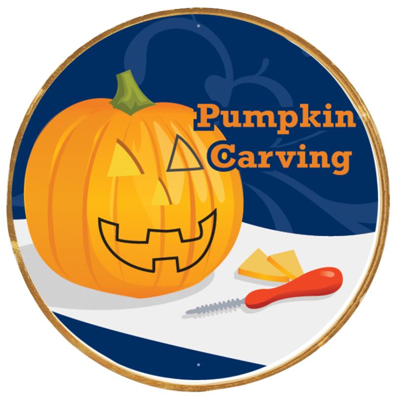 2"Wx2"H INSERT BUTTON PIN