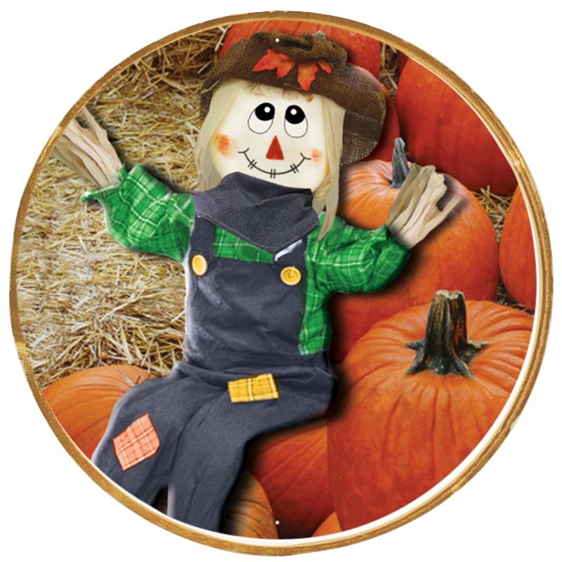 2"Wx2"H INSERT BUTTON PIN