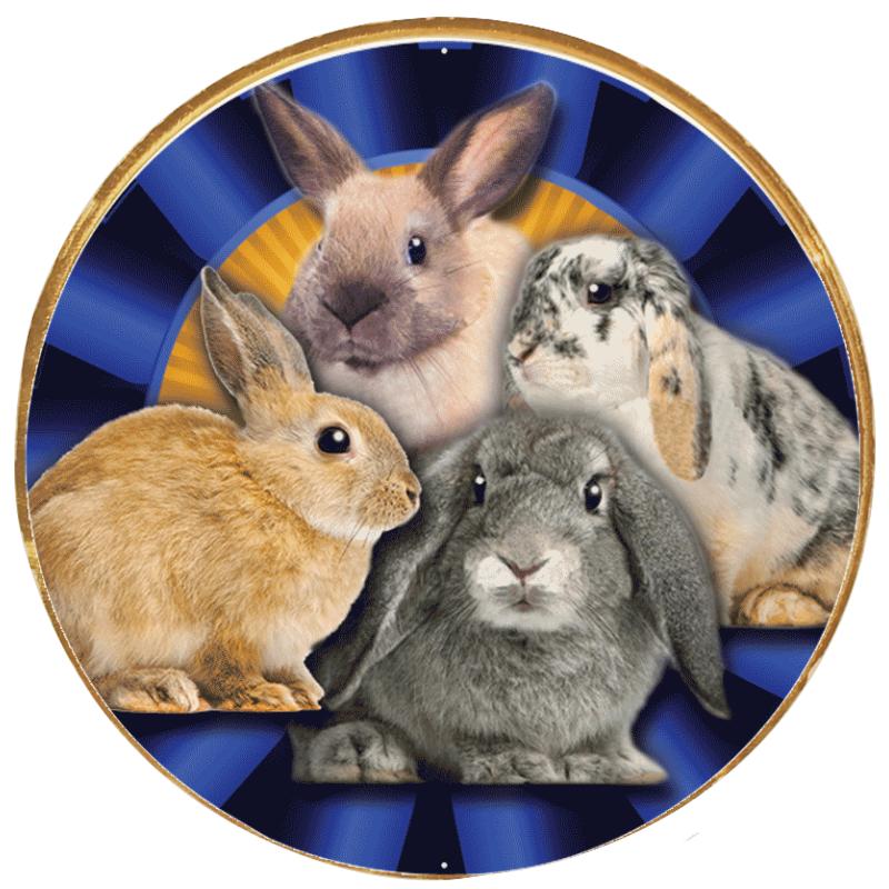 2"Wx2"H INSERT BUTTON PIN