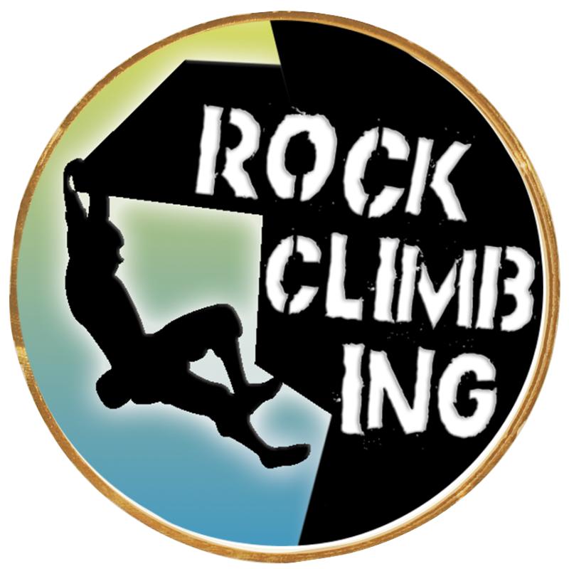 2"Wx2"H INSERT BUTTON PIN