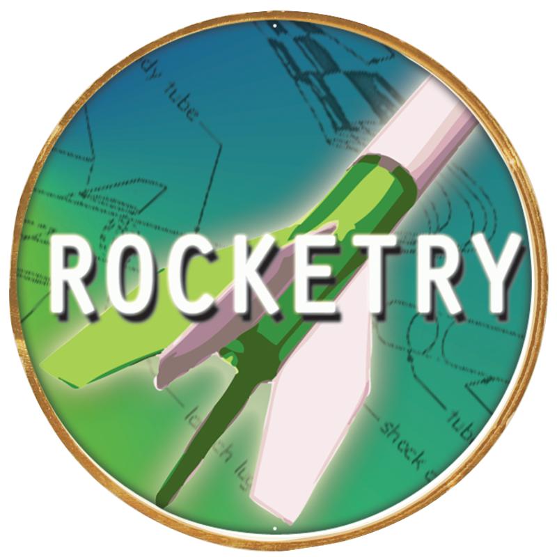 2"Wx2"H INSERT BUTTON PIN