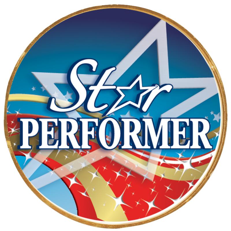 2"Wx2"H INSERT BUTTON PIN