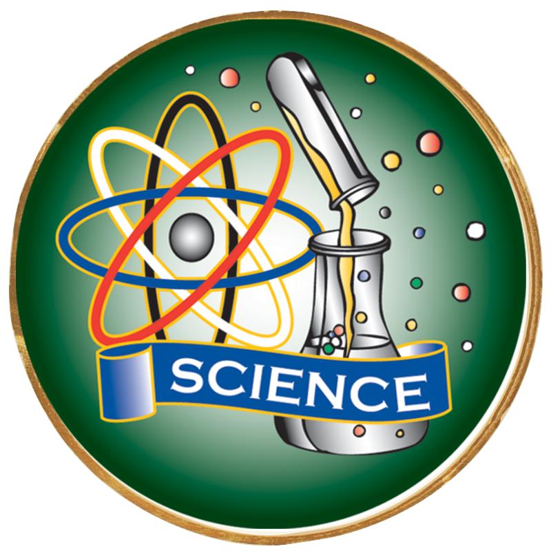 2"Wx2"H INSERT BUTTON PIN