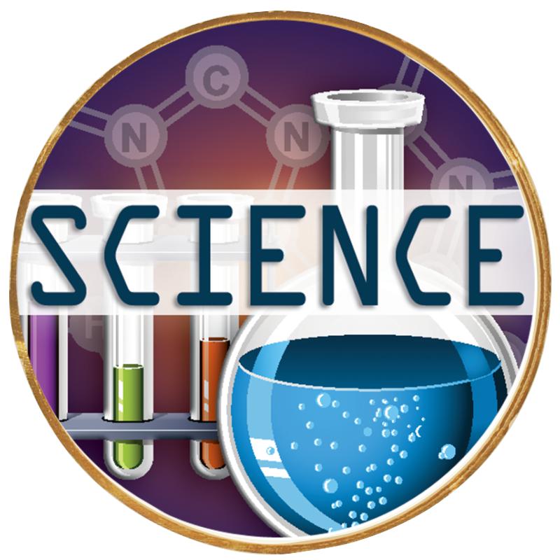 2"Wx2"H INSERT BUTTON PIN