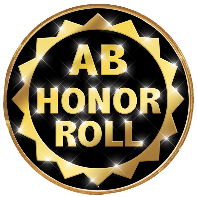 2"Wx2"H INSERT BUTTON PIN