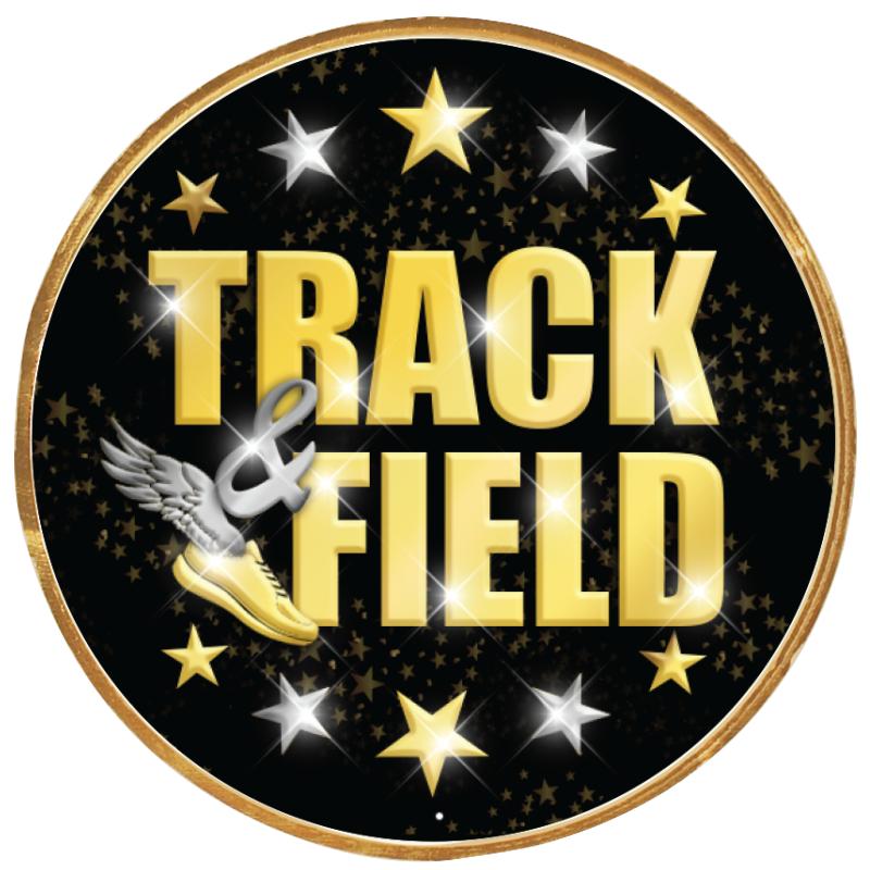 2"Wx2"H INSERT BUTTON PIN