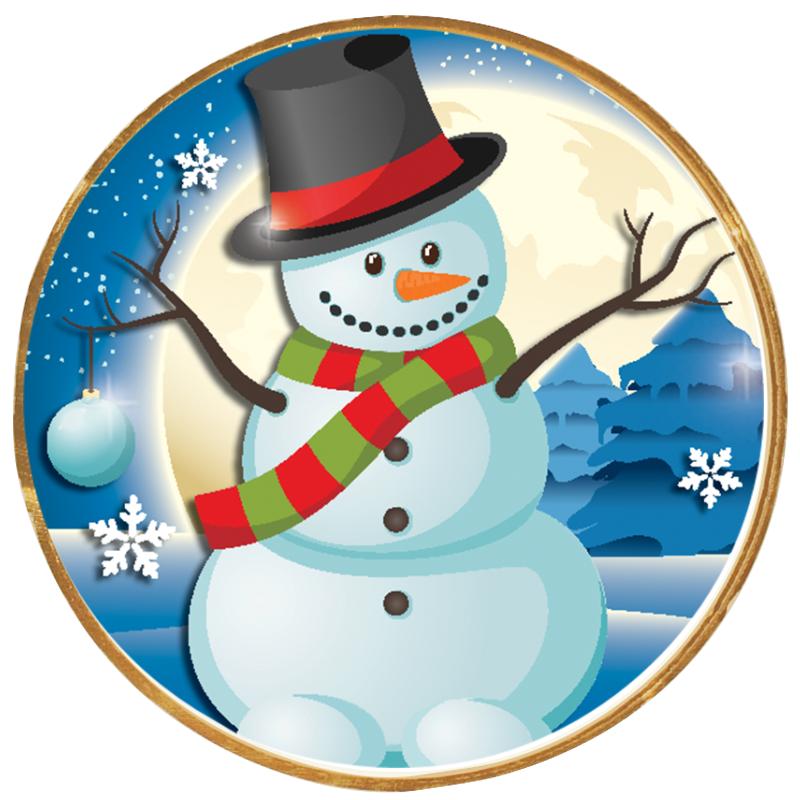 2"Wx2"H INSERT BUTTON PIN