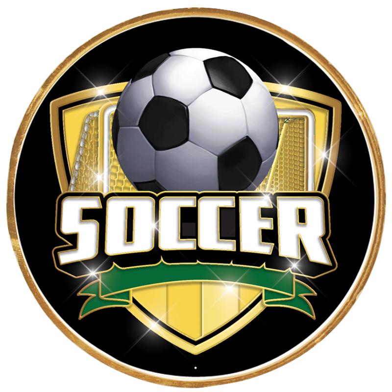 2"Wx2"H INSERT BUTTON PIN