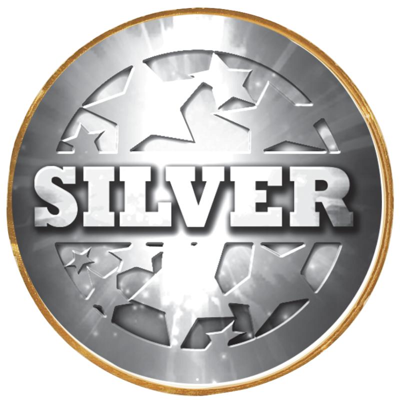 2"Wx2"H INSERT BUTTON PIN