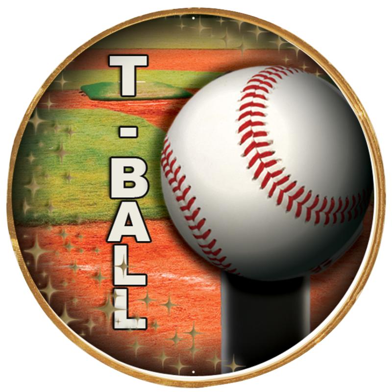 2"Wx2"H INSERT BUTTON PIN