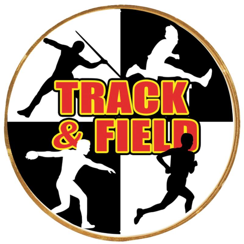 2"Wx2"H INSERT BUTTON PIN