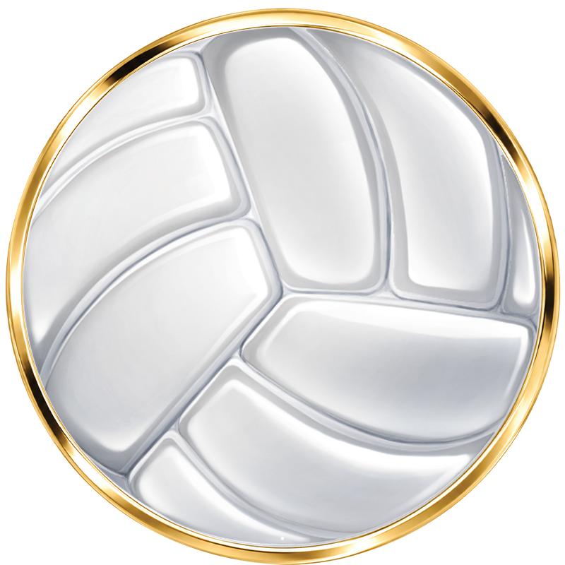2"Wx2"H INSERT BUTTON PIN