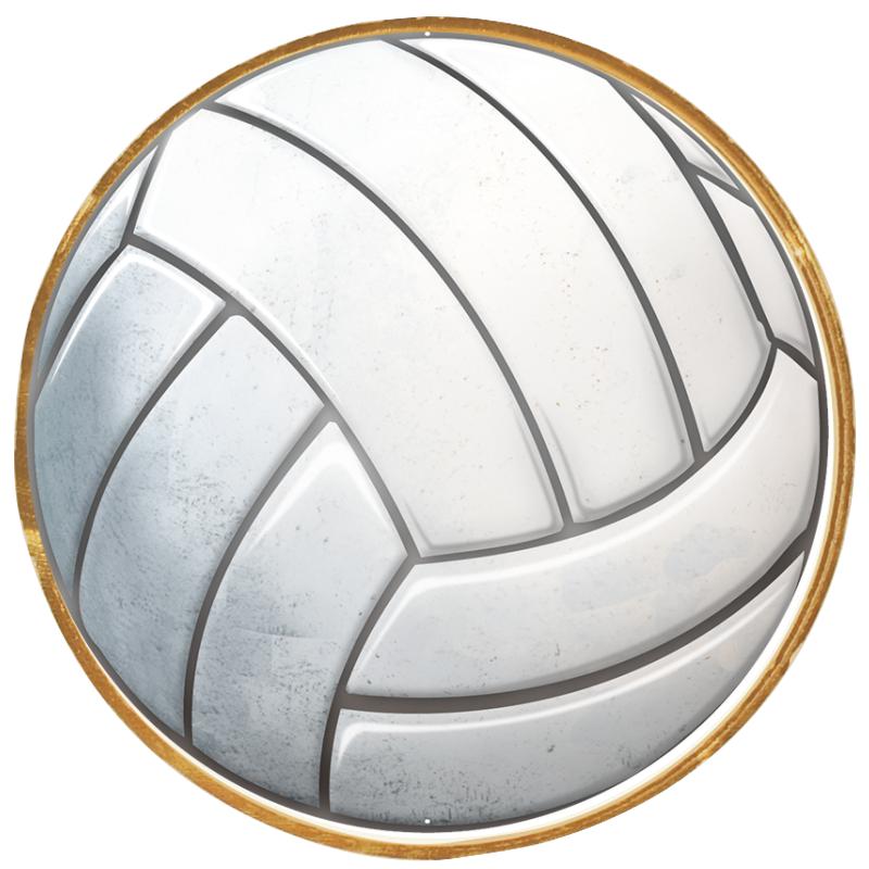 2"Wx2"H INSERT BUTTON PIN