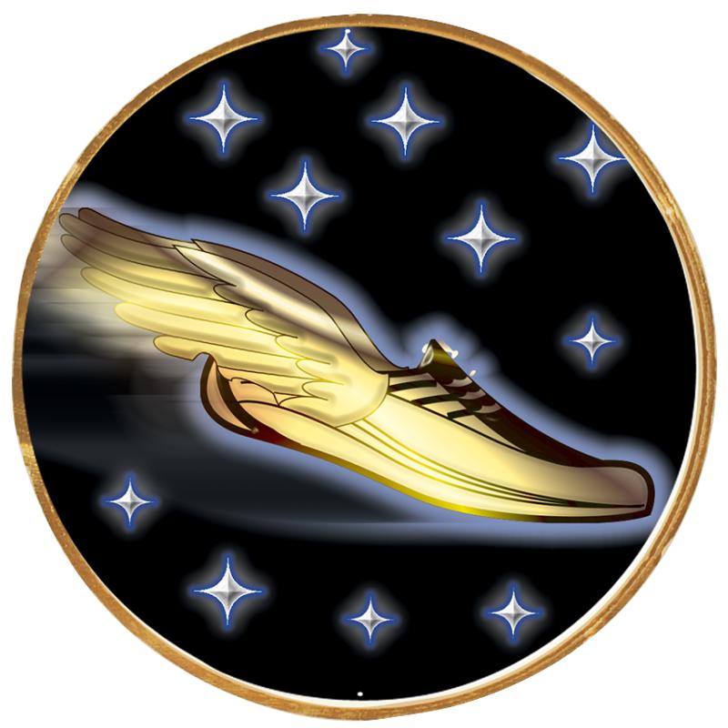 2"Wx2"H INSERT BUTTON PIN