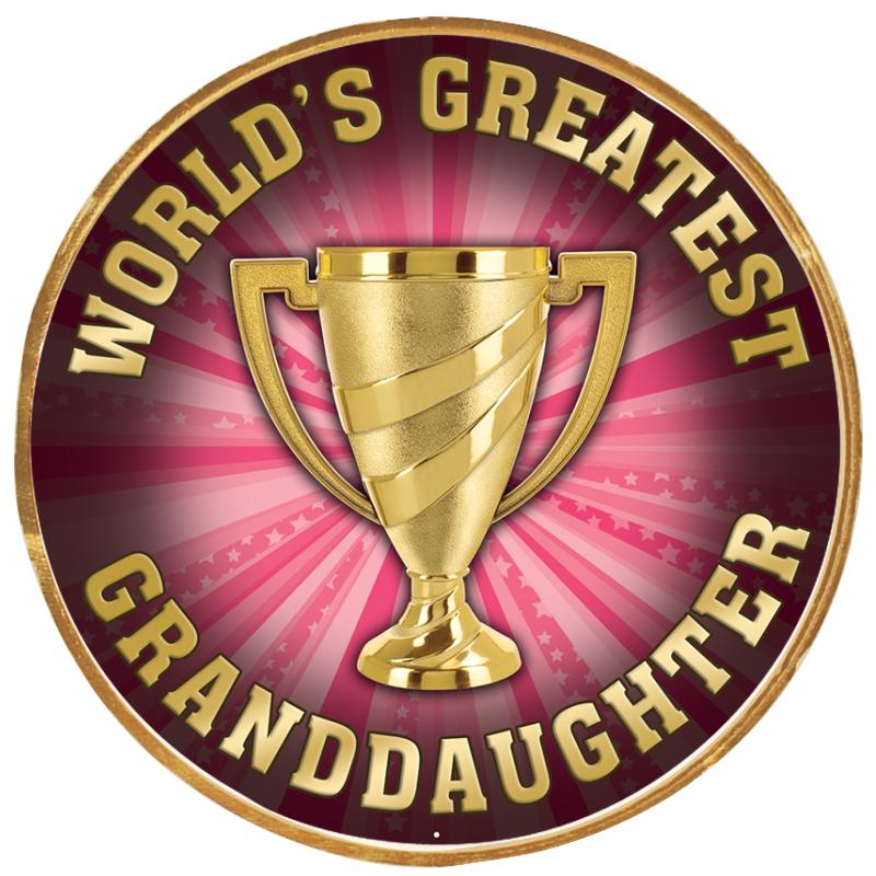 2"Wx2"H INSERT BUTTON PIN