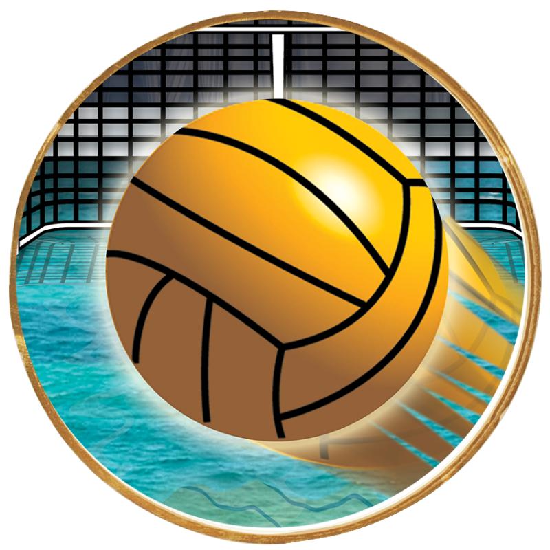 2"Wx2"H INSERT BUTTON PIN