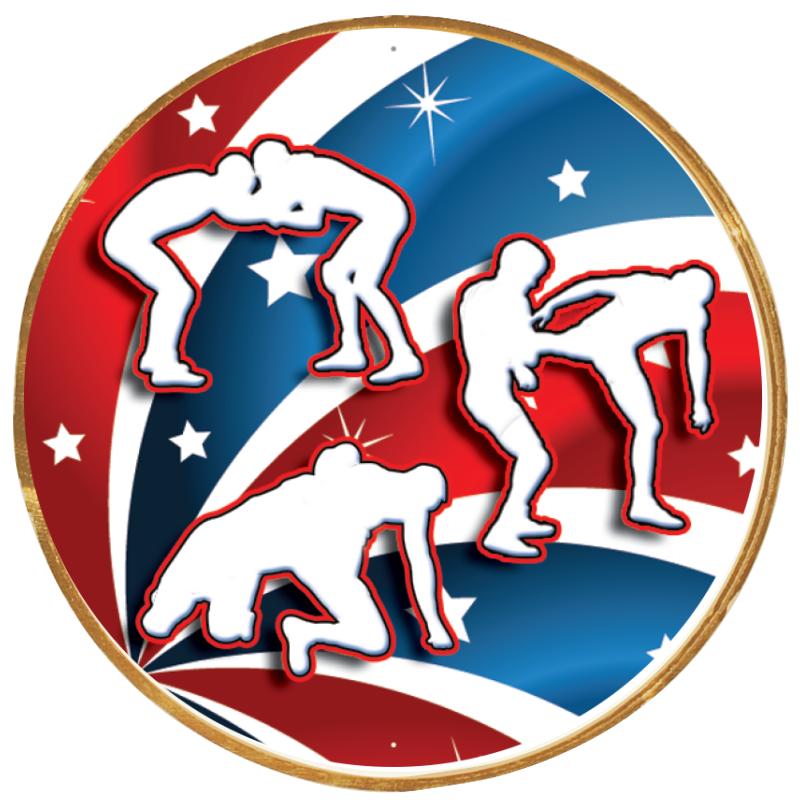 2"Wx2"H INSERT BUTTON PIN