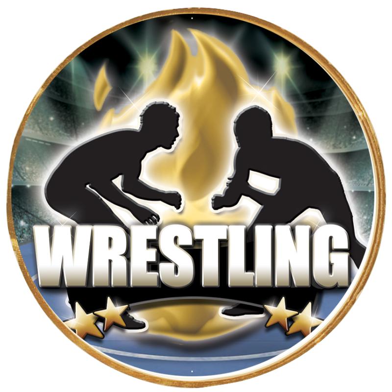 2"Wx2"H INSERT BUTTON PIN