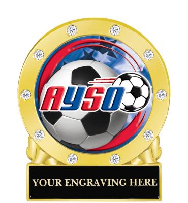 Engravable Insert Pin