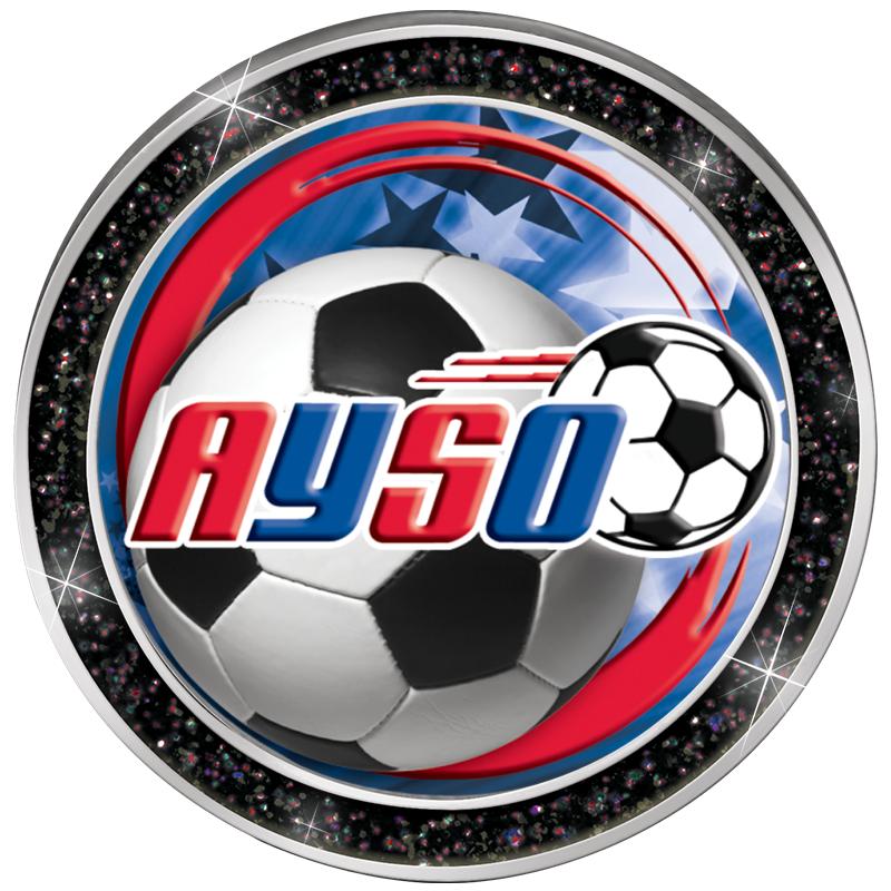 1.3" BLACK GLITTER INSERT PIN