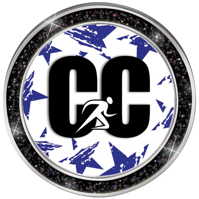 1.3" BLACK GLITTER INSERT PIN