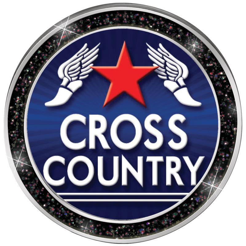 1.3" BLACK GLITTER INSERT PIN