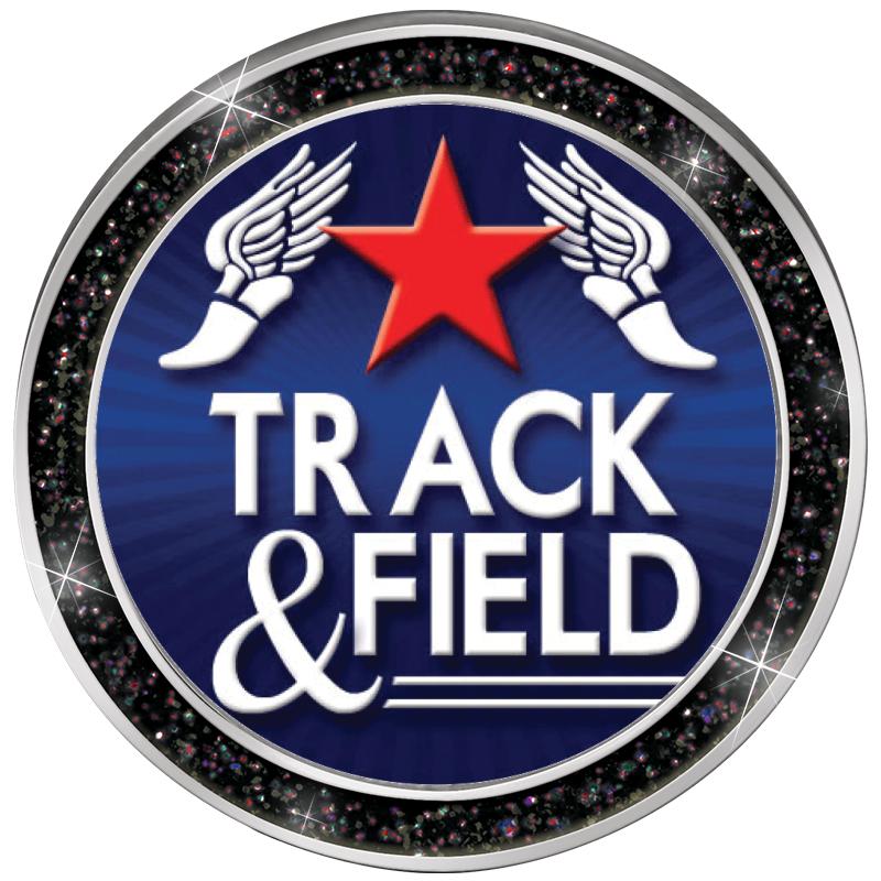 1.3" BLACK GLITTER INSERT PIN