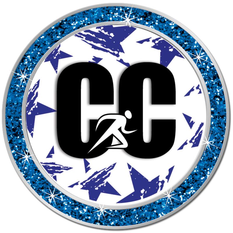 1.3" BLUE GLITTER INSERT PIN