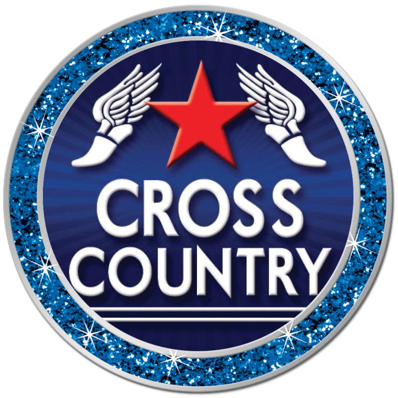 1.3" BLUE GLITTER INSERT PIN