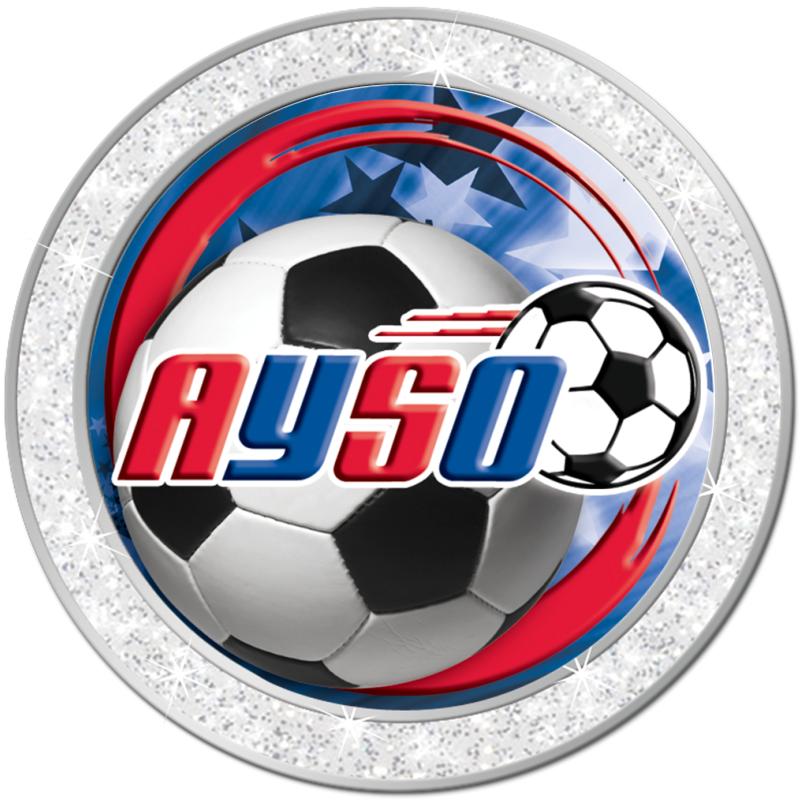 1.3" SILVER GLITTER INSERT PIN