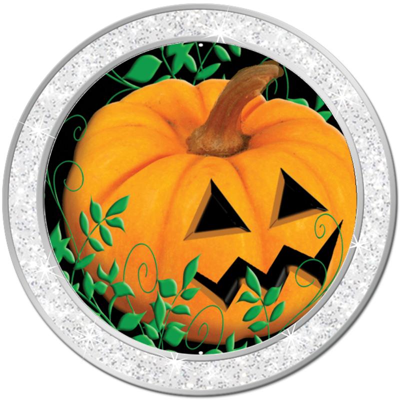 1.3" SILVER GLITTER INSERT PIN