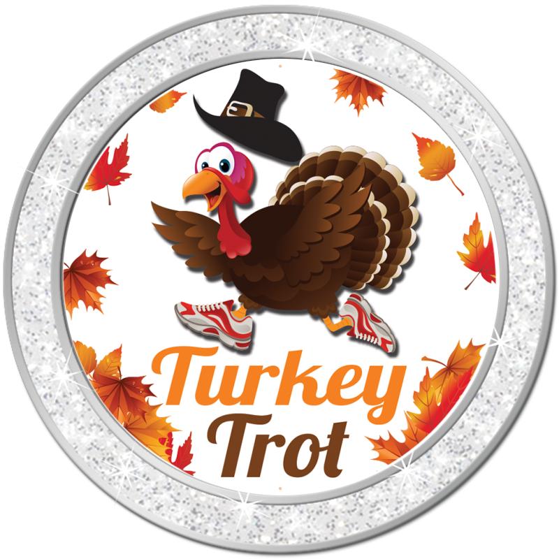 1.3" SILVER GLITTER INSERT PIN