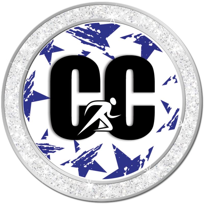 1.3" SILVER GLITTER INSERT PIN