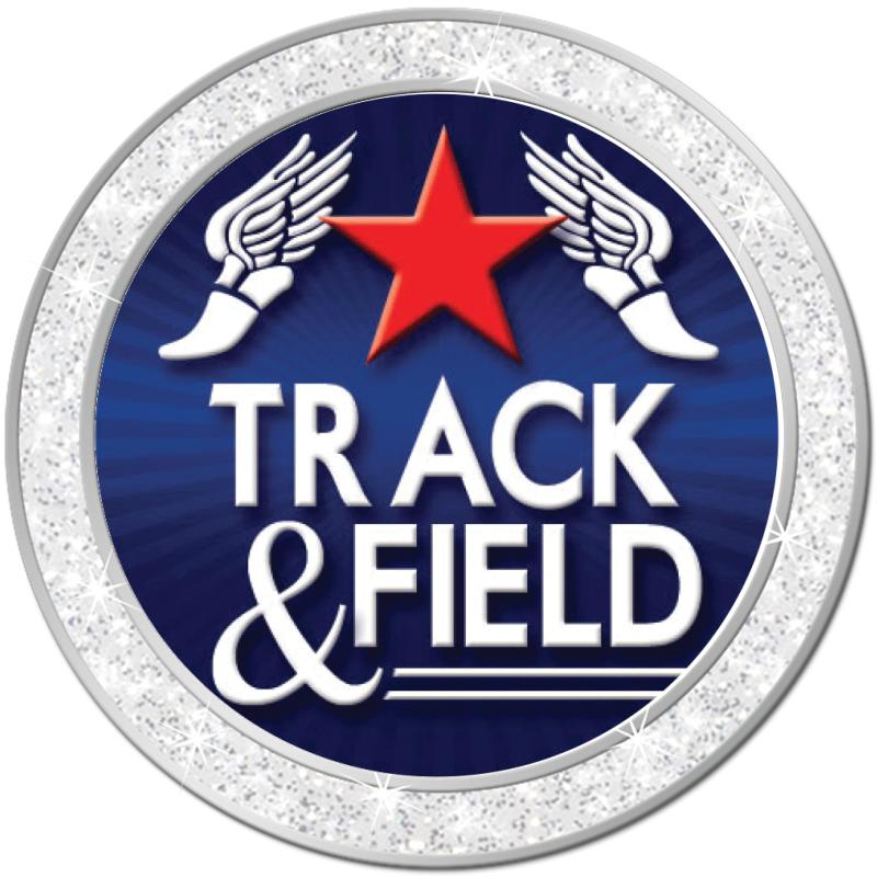 1.3" SILVER GLITTER INSERT PIN