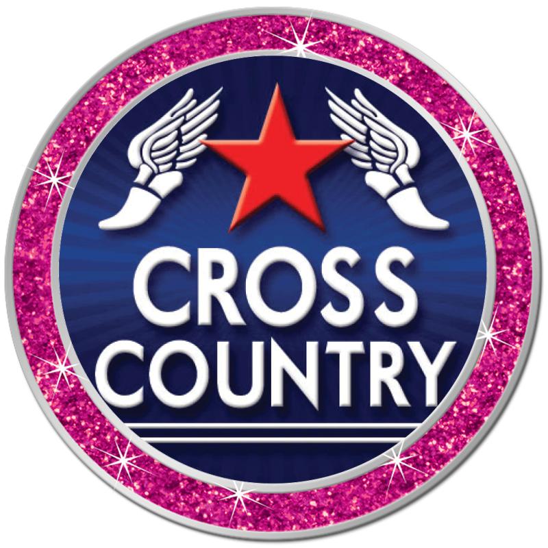 1.3" PINK GLITTER INSERT PIN