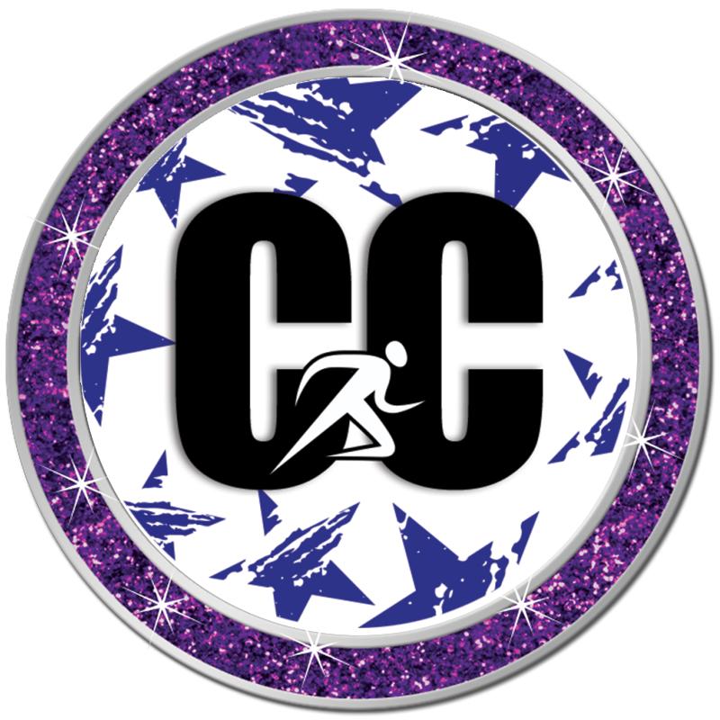 1.3" PURPLE GLITTER INSERT PIN