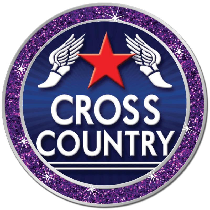 1.3" PURPLE GLITTER INSERT PIN