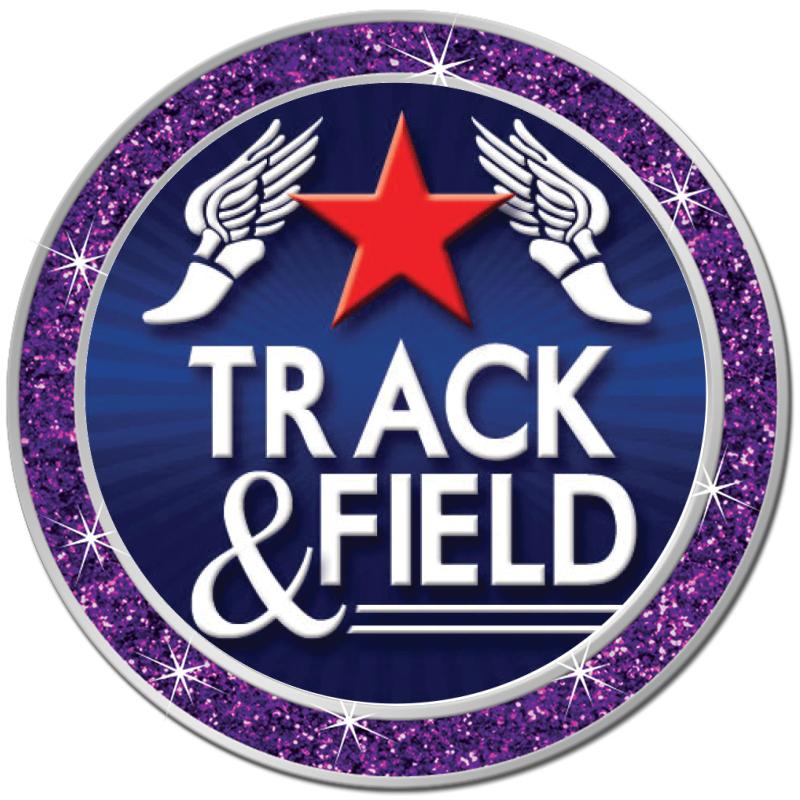 1.3" PURPLE GLITTER INSERT PIN