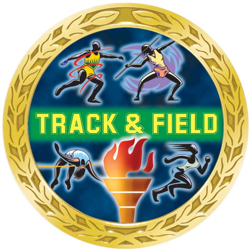 1.35" LAUREL WREATH GOLD PIN